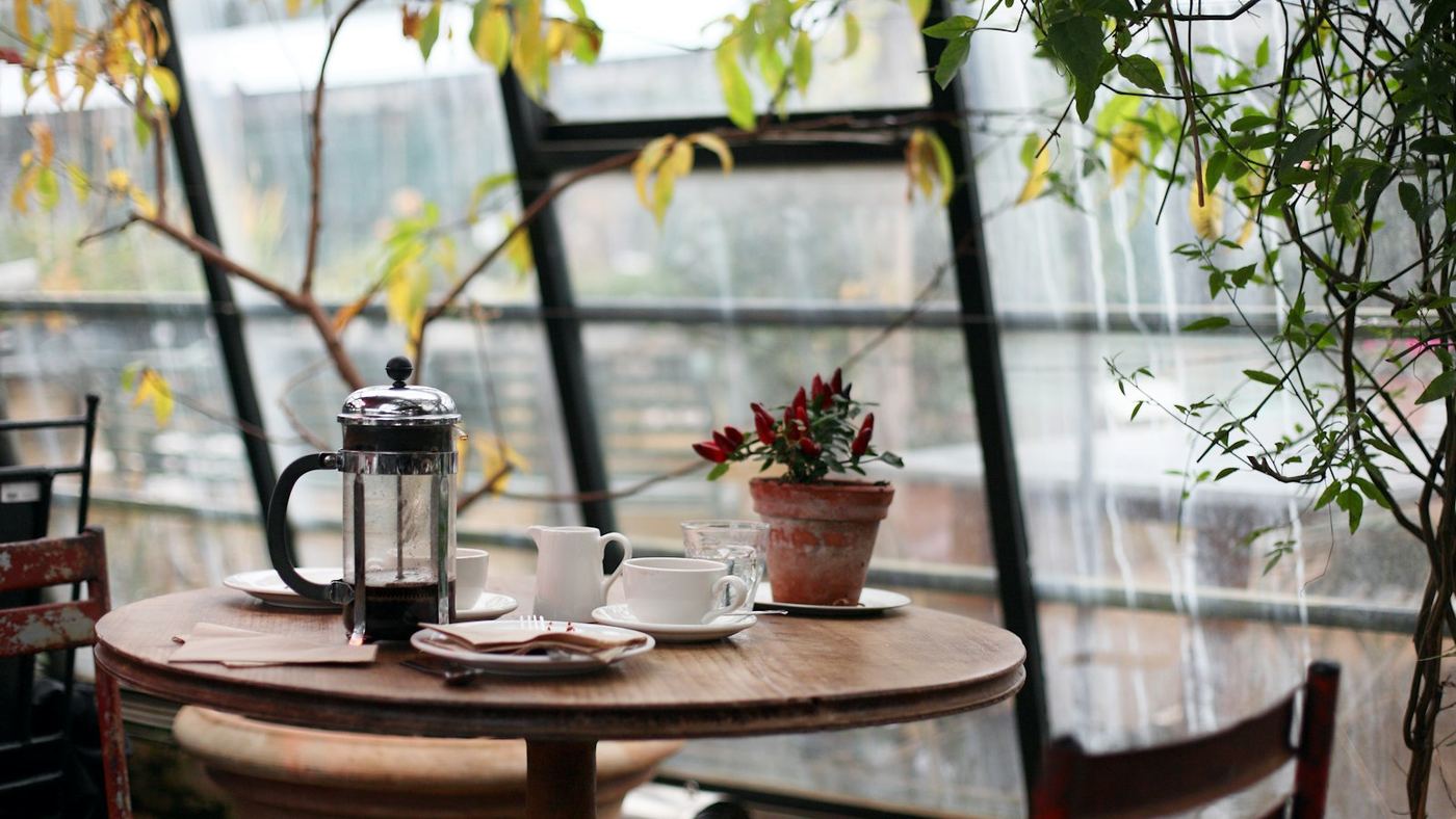 Ruhiger Café-Fensterplatz mit Pflanzen in Prenzlauer Berg